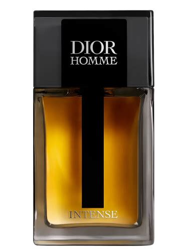 dior homme intense männer